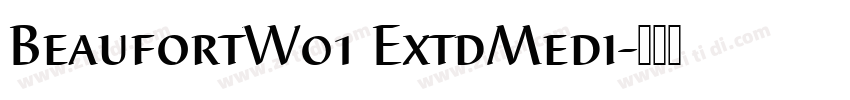 BeaufortW01 ExtdMedi字体转换